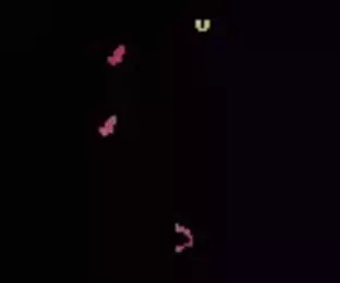 Image n° 1 - screenshots  : Der Vielfrass